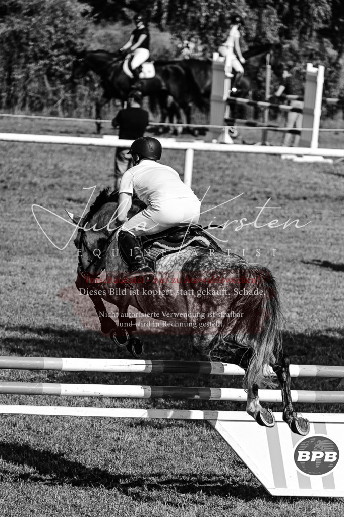 DSC_2244 | Pferde- und Turnierfotografie in Westsachsen. Pferdeportraits, Auftragszeichnungen und intuitive Kunst.
