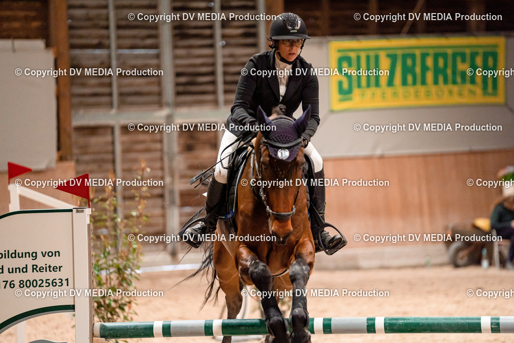 Springen Tag 1-267 | dv-media-shop - Realisiert mit Pictrs.com