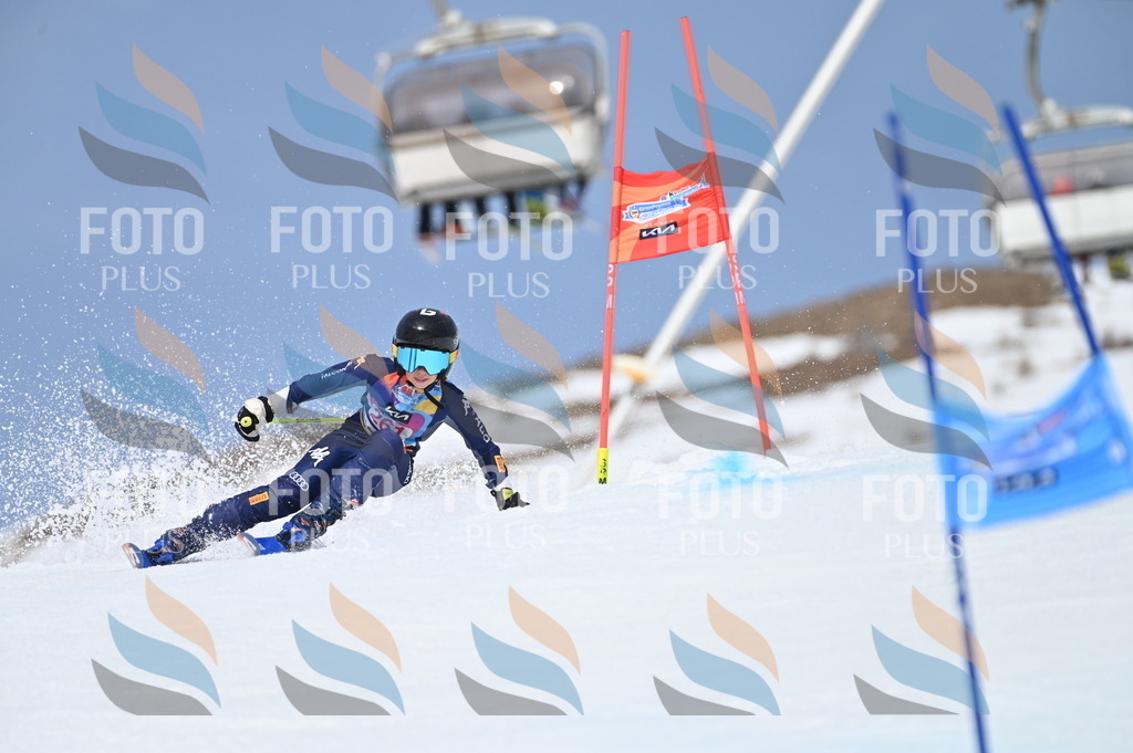 BGV_2077 | holidayphoto