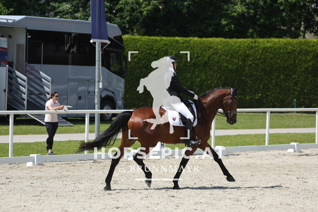 0P6A1210 | Willkommen bei Brunnmayr - Design & Fotografie – Ihrem Spezialisten für Reitturniere und Pferdeveranstaltungen in Oberösterreich, Salzburg und Bayern! Seit über 17 Jahren sind wir leidenschaftlich dabei.