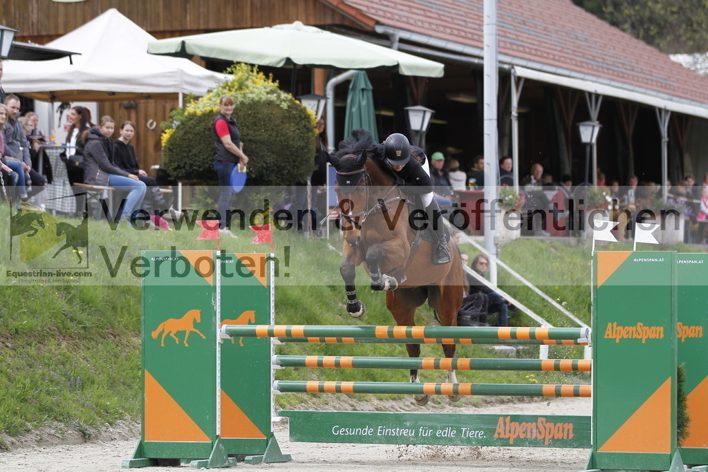 _MG_4195 | equestrian-live-com