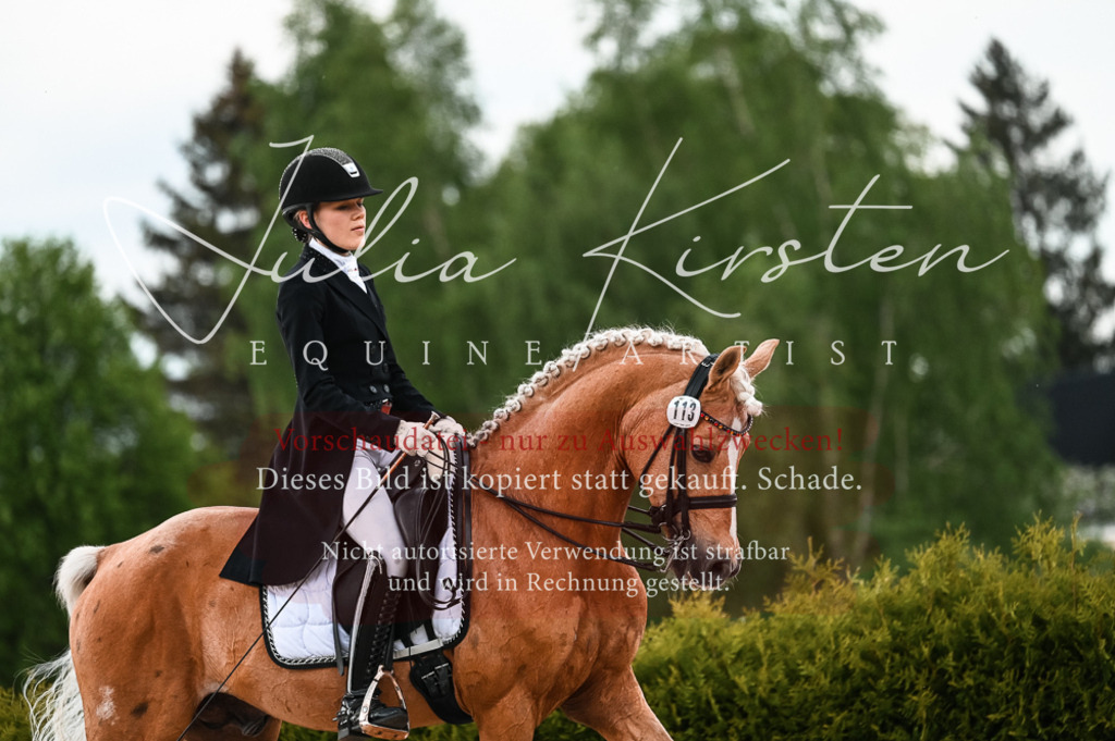 20230514_JK-Röhrsdorf-21-389 | Pferde- und Turnierfotografie in Westsachsen. Pferdeportraits, Auftragszeichnungen und intuitive Kunst.