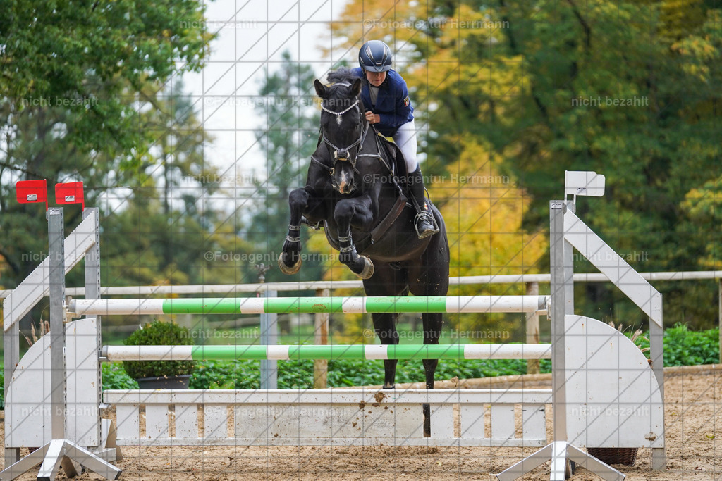 20221009-FAH08967 | Diessen am Ammersee, 2022, Dressur- und Springturnier, Reitsportbilder, Turnierfotografen Bayern, Pferdefotografen, Fotoagentur Herrmann, Turnierbilder