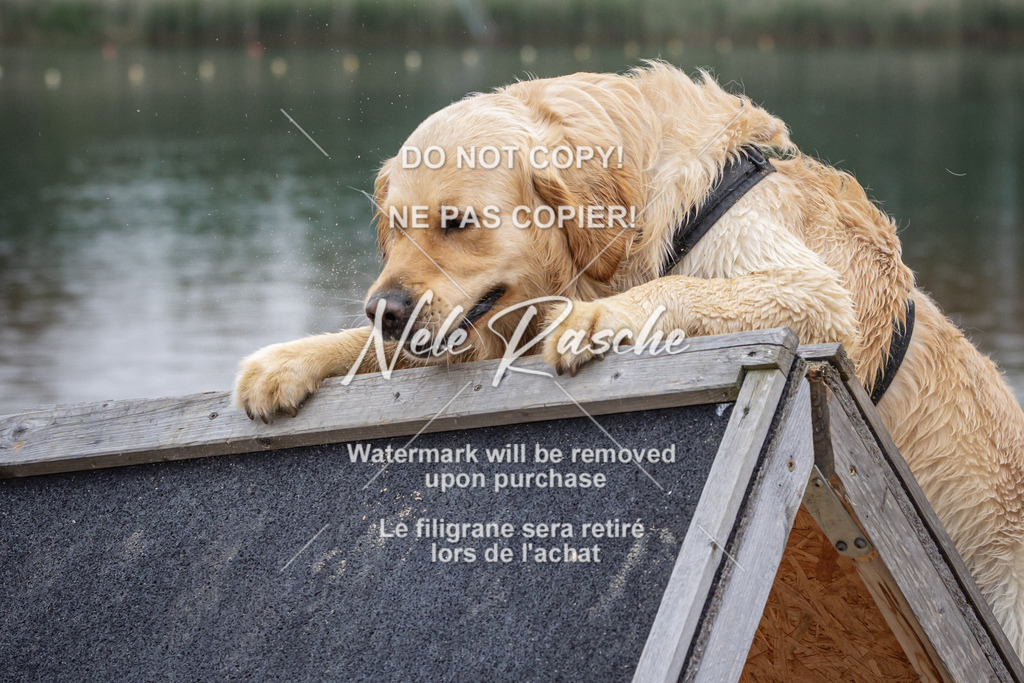 nelerasche_BuHu2026_So10-11_223 | nelerasche
