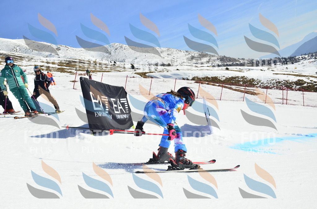 _ELE0389 | holidayphoto