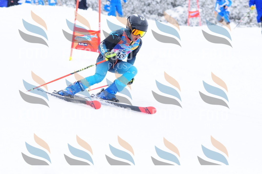 C4304 | holidayphoto