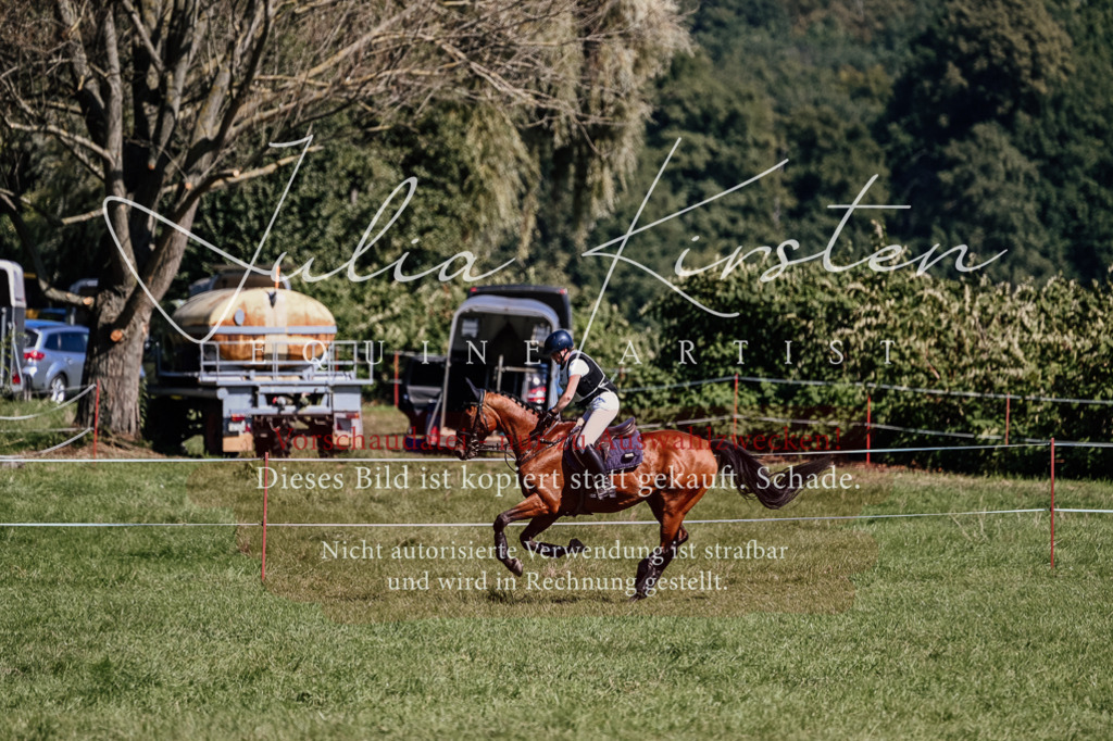 DSC_1975 | Pferde- und Turnierfotografie in Westsachsen. Pferdeportraits, Auftragszeichnungen und intuitive Kunst.