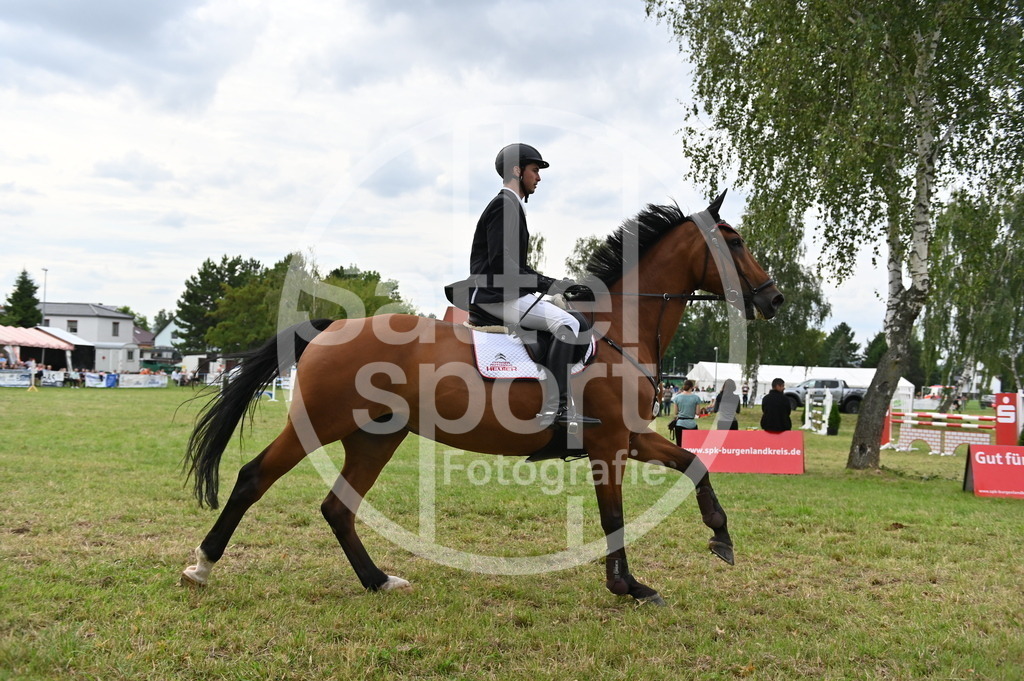 DSC_3861 | sattelsport - Realisiert mit Pictrs.com