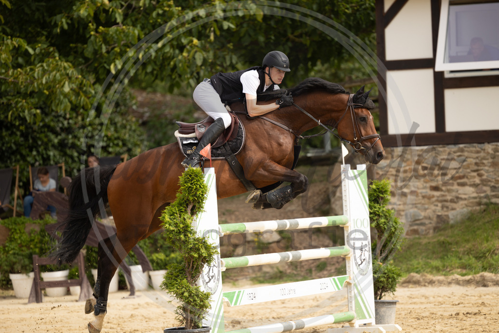 994A9395 | sabrinanicolaifotografie - Realisiert mit Pictrs.com