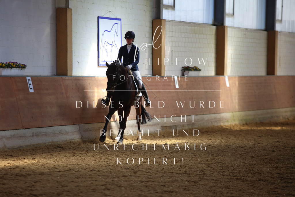 IMGT7849 | pl-fotografie