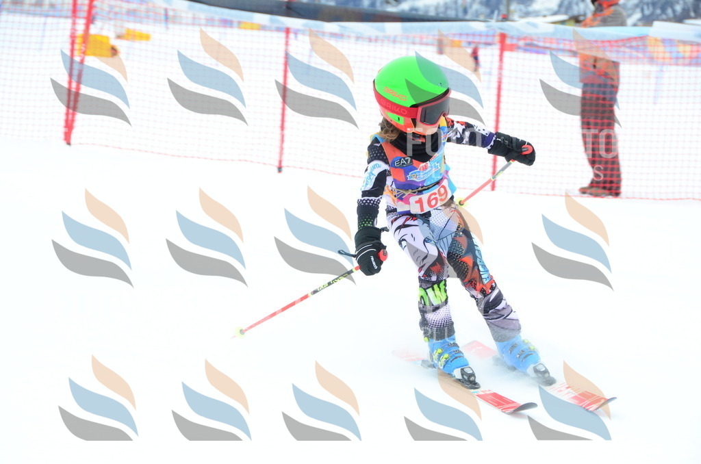 DSC_1597 | holidayphoto