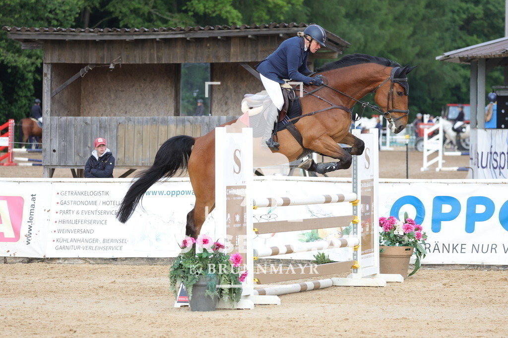 0P6A5953 | Willkommen bei Brunnmayr - Design & Fotografie – Ihrem Spezialisten für Reitturniere und Pferdeveranstaltungen in Oberösterreich, Salzburg und Bayern! Seit über 17 Jahren sind wir leidenschaftlich dabei.