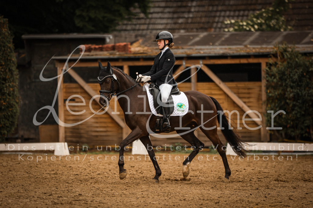 DoDrA00548 | Leoni Ertmer Photography - Realisiert mit Pictrs.com