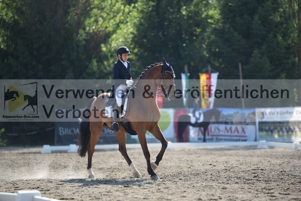 DSC_2534 | equestrian-live-com