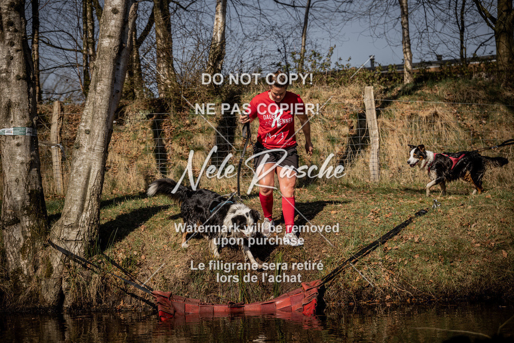 nelerasche_FS1100-1145_473 | nelerasche