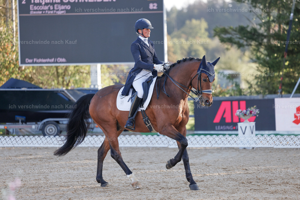 09_1-082-DRESSUR  S_  -StoibPH-5469 | working equitationturnier fotograf videograf stoibphotography marixx film working equitation deutschland reitsport turnierfotografie eventfotografie equestrian events