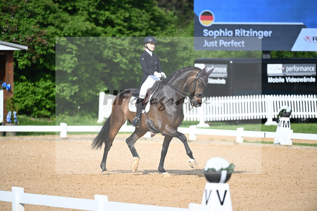 Ritzinger_Just Perfect_12241582 | hf-fotografie - Realisiert mit Pictrs.com