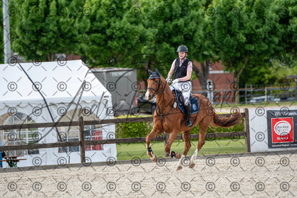 KPT_6839 | andre_photographic