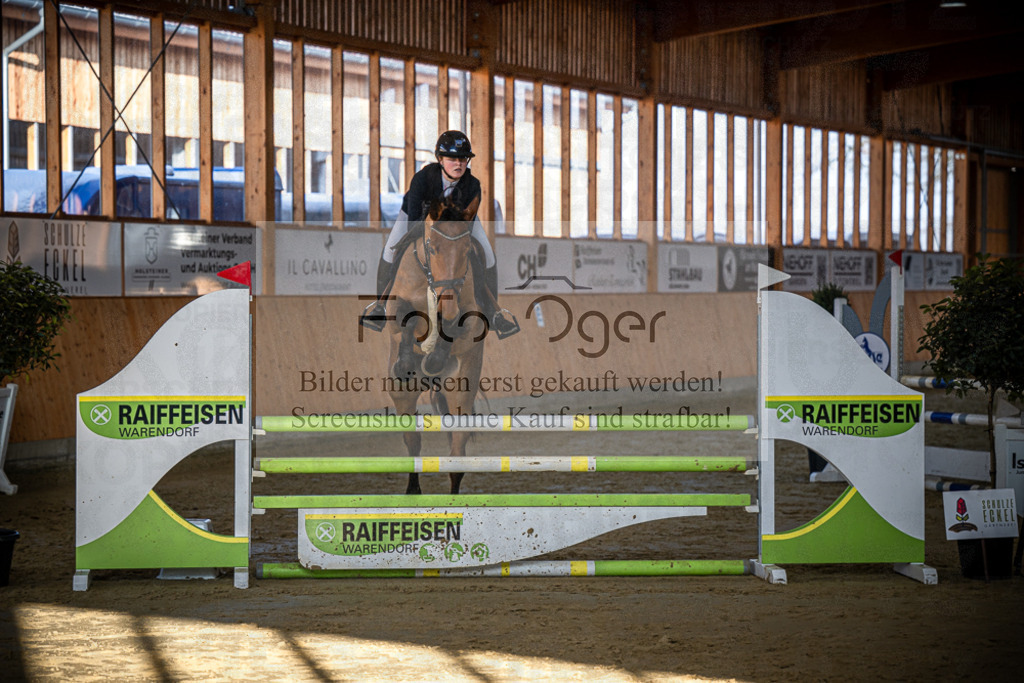 DOS_0531 | Entdecke hochwertige Reitturnierfotos von Foto Oger. Professionell, emotional und authentisch – jetzt Lieblingsmomente im Shop bestellen.Deutschlandweite Turnierfotografie. - Realisiert mit Pictrs.com