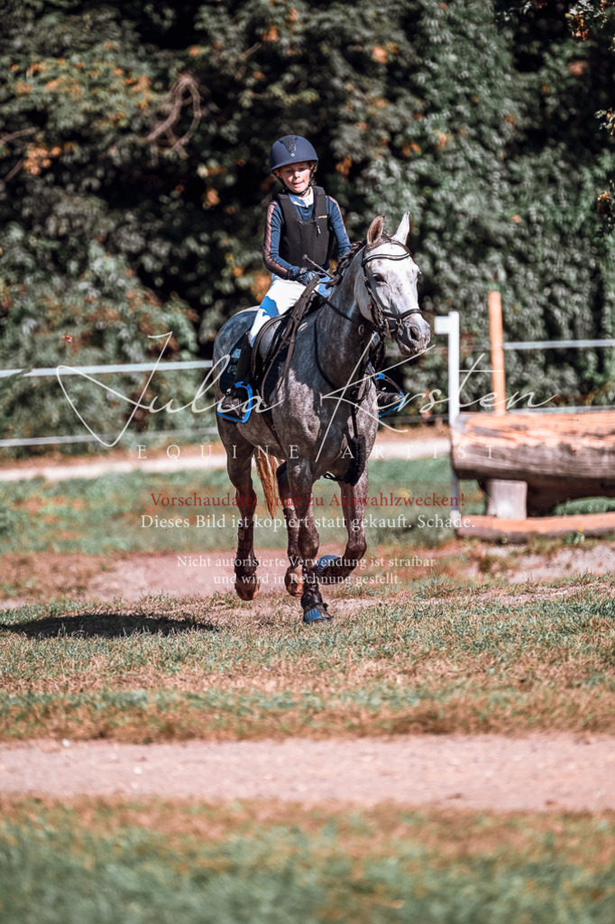 DSC_1168 | Pferde- und Turnierfotografie in Westsachsen. Pferdeportraits, Auftragszeichnungen und intuitive Kunst.