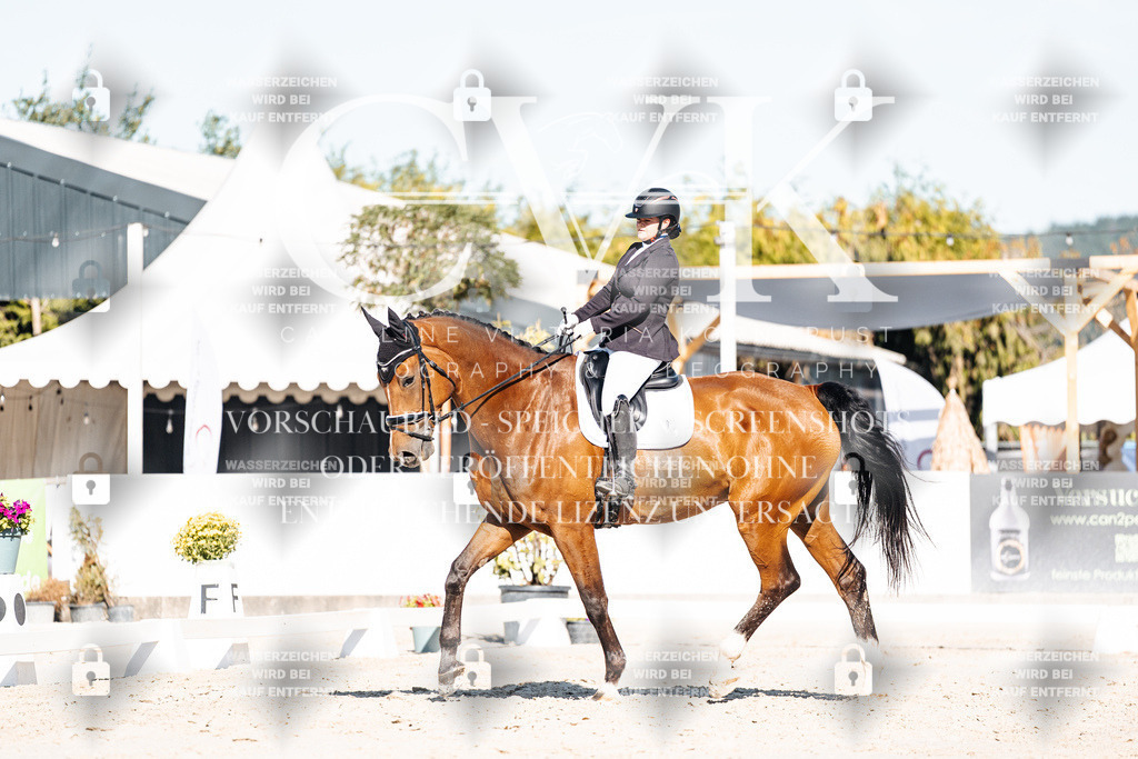 CK907665 | Turnierfotografie Pferdefotografie Trier Rheinland-Pfalz Pferdesport Reitsport Tierfotografie Sportfotografie Pferdevideo Pferdevideografie Equestrianvideography equestrianphotography  - Realisiert mit Pictrs.com
