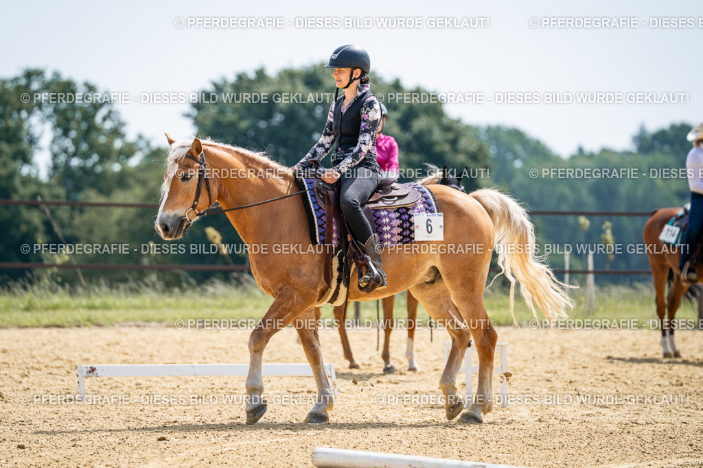 DSC00150 | Pferdegrafie