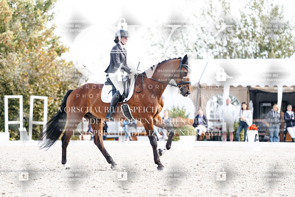 CK902401 | Turnierfotografie Pferdefotografie Trier Rheinland-Pfalz Pferdesport Reitsport Tierfotografie Sportfotografie Pferdevideo Pferdevideografie Equestrianvideography equestrianphotography  - Realisiert mit Pictrs.com