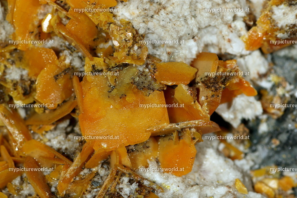 Wulfenit-001 | Das Bilderarchiv über Tiere, Planzen und Landschaften. In der Bilddatenbank finden Sie ein große Auswahl an hochwertigen Bilder für Ihre Werbung - Realisiert mit Pictrs.com