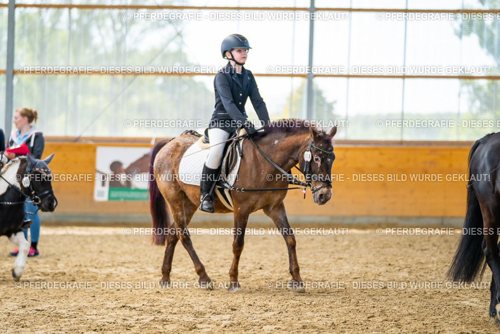 DSC01328 | Pferdegrafie