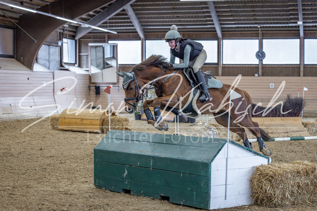 20260221-_3LI9763 | Tierfotografie Pferde, Hunde, Katzen, Haustiere.
Turnierfotografie Reitturniere, Reiten, Springreiten, Dressur in Hanau, dem Main-Kinzig-Kreis und dem Rhein-Main- Gebiet um Frankfurt
