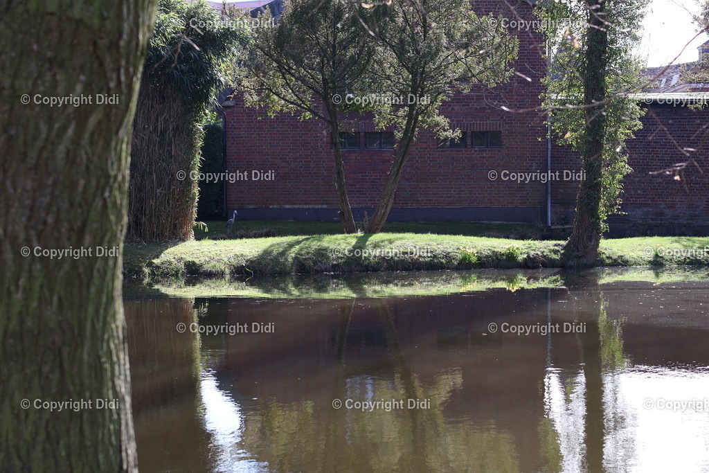 IMG_2151 | Didi - Realisiert mit Pictrs.com