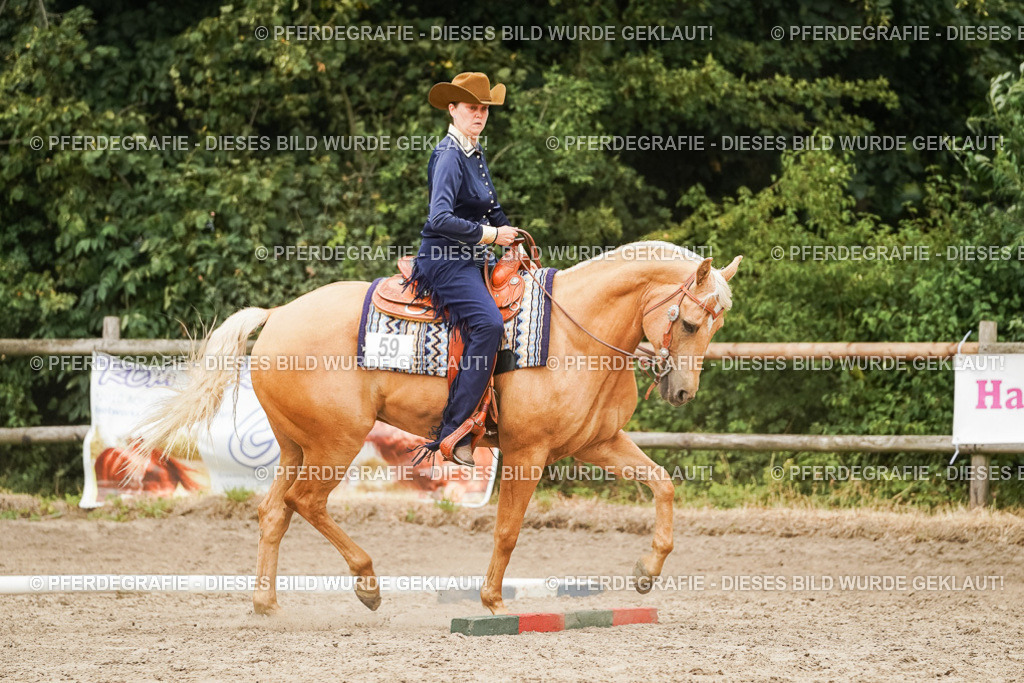 DSC08711 | Pferdegrafie