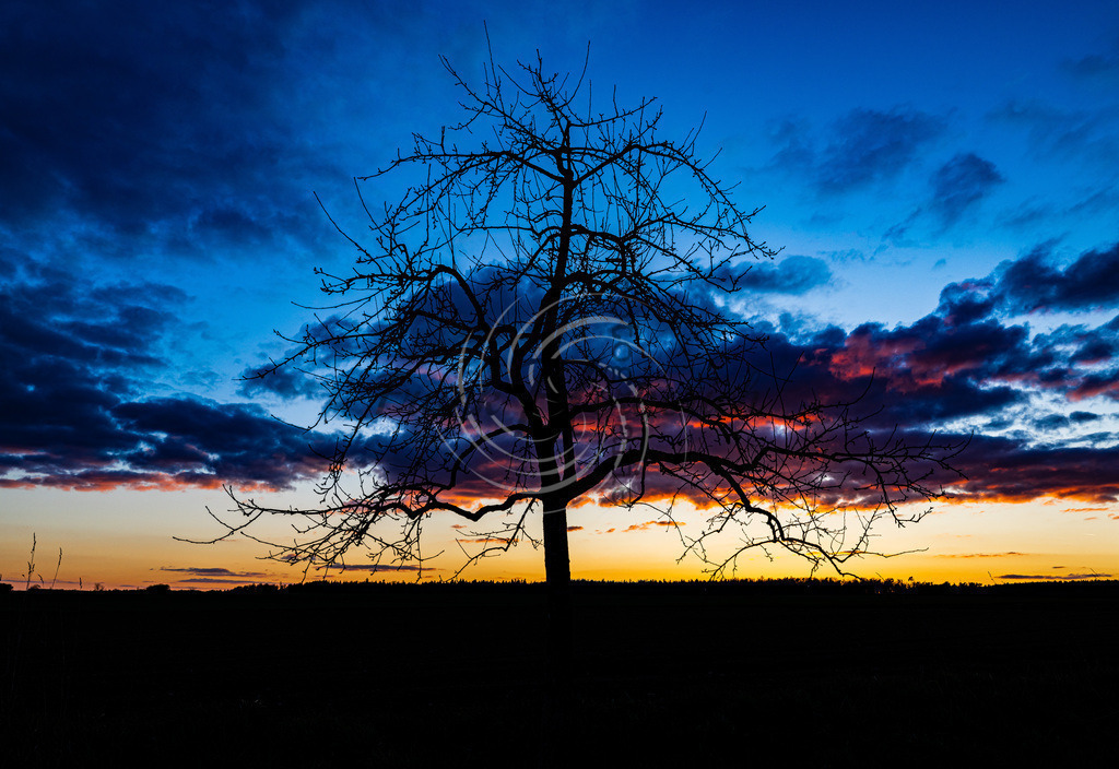 2023_04_03_7107 | Frank Herberich Fotografie, Frank Herberich, Fotografie, Hochzeit, Portrait, St. Peter Ording, Ording, Westerhever, Nordsee, Frank Fotografie, Hardheim,  Odenwald,Walldürn, Band,Eventfotografie - Realisiert mit Pictrs.com