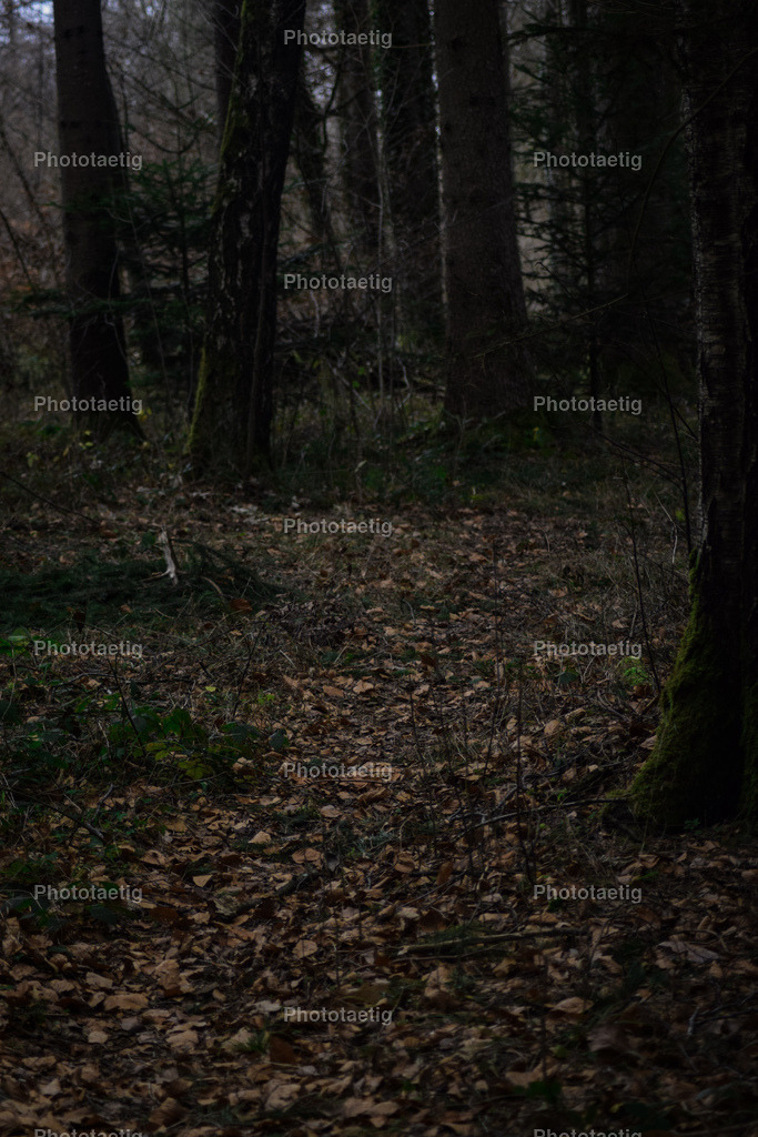 IMG_6162 | phototaetig