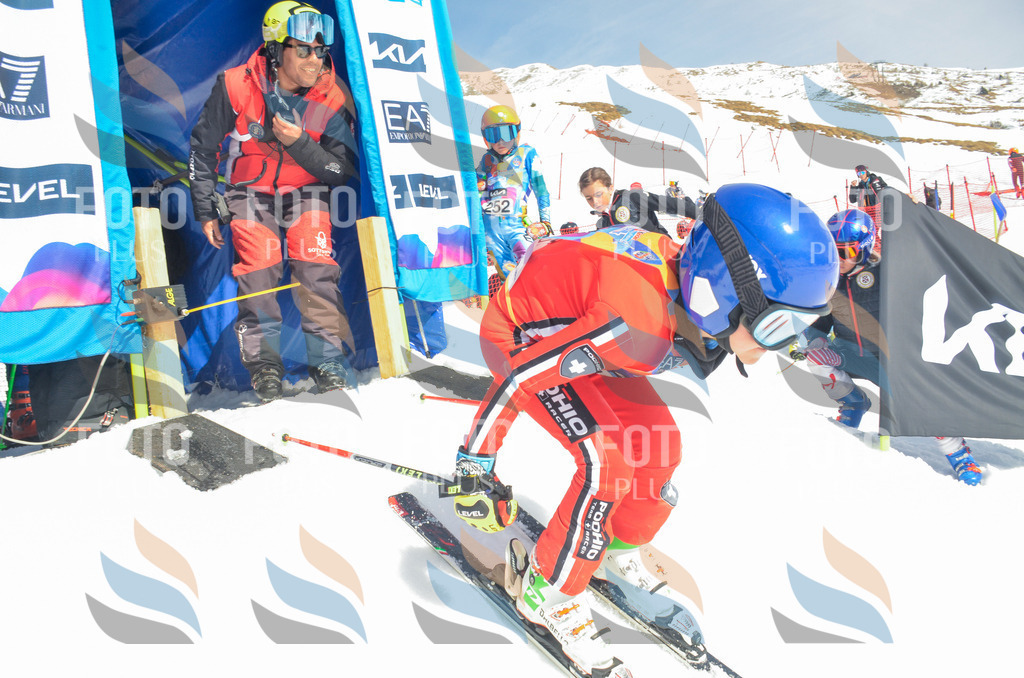 _ELE6342 | holidayphoto