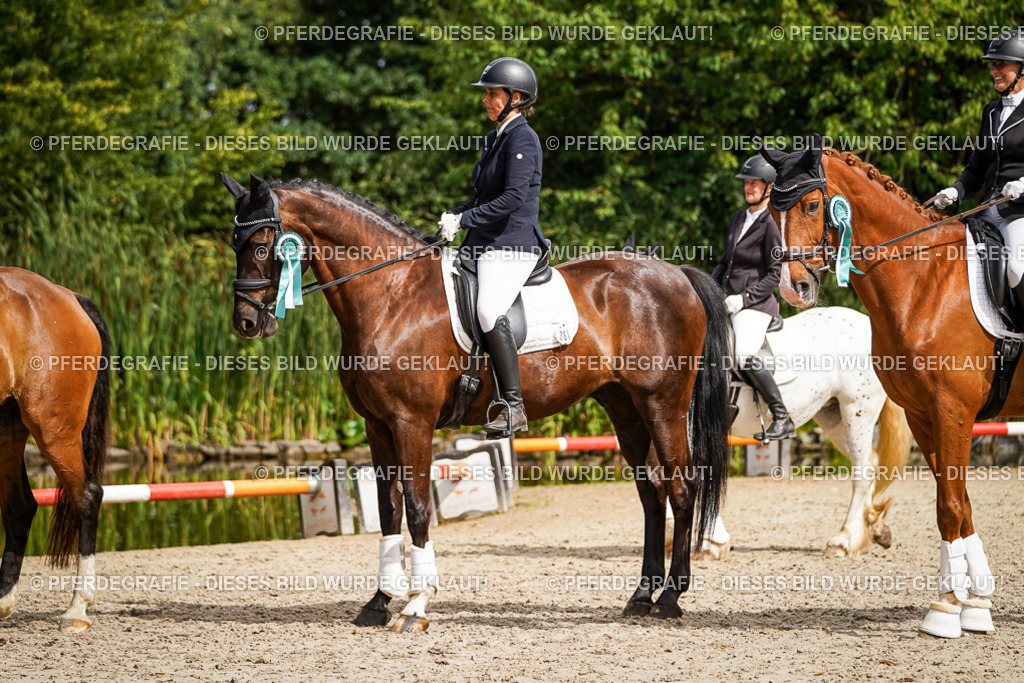 DSC02458 | Pferdegrafie