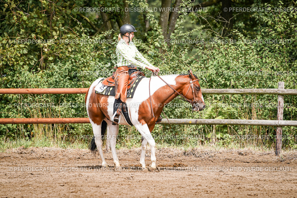 DSC07226 | Pferdegrafie