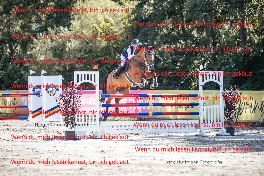 BK1A6979 | Turnierbilder Turnierfotos Nina Hüffmann Turnierfotografie Pferdefotografie Tierzeichnung Haustierzeichnung Pferdezeichnung Hundezeichnung Videograf  - Realisiert mit Pictrs.com
