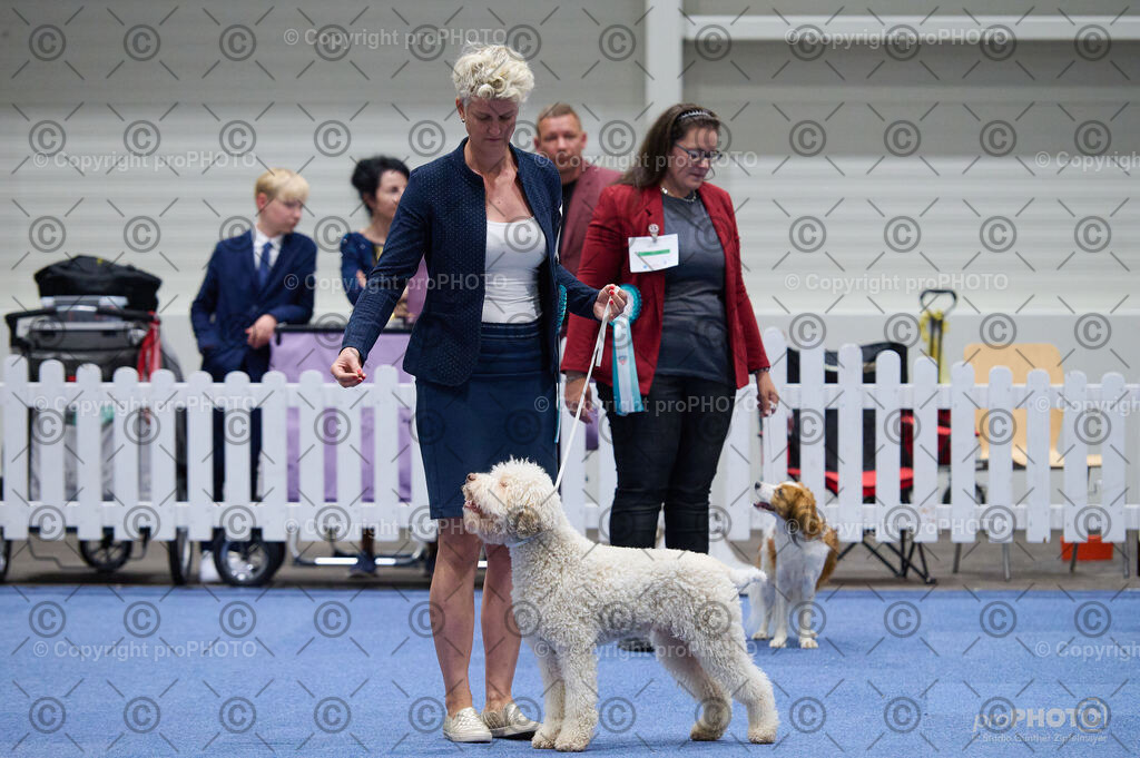 202406_ÖKV-IHA-Tulln24_DSC_3182 | proPHOTO - Realisiert mit Pictrs.com