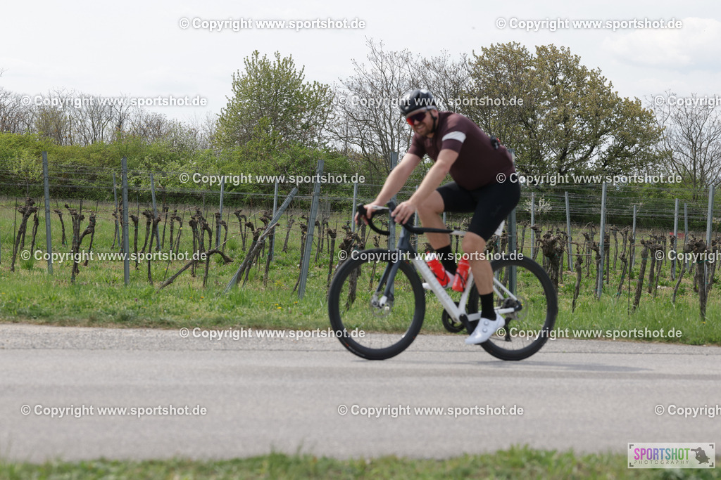 368A4829 | Neusiedlersee Radmarathon 2026@sportshot_your_pictrs #yourpictures#roadtowm2029 #nrm #neusiedlerseeradmarathon #neusiedlersee #neusiedlerseetourismus #burgenland #mörbisch #nrm26 #burgenlandtourismus #voglundco #poweredbyburgenlandtourismus #radsport #rad #marathon #ucigranfondo #visitburgenland #ucigranfondoworldseries