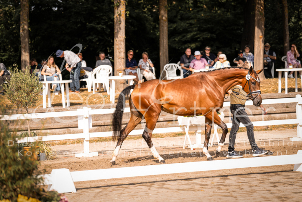 FrER00098 | Leoni Ertmer Photography - Realisiert mit Pictrs.com