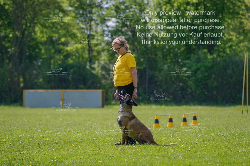 Sa_Gehorsam_02-13 | stephaniefillaphotographie - Realisiert mit Pictrs.com