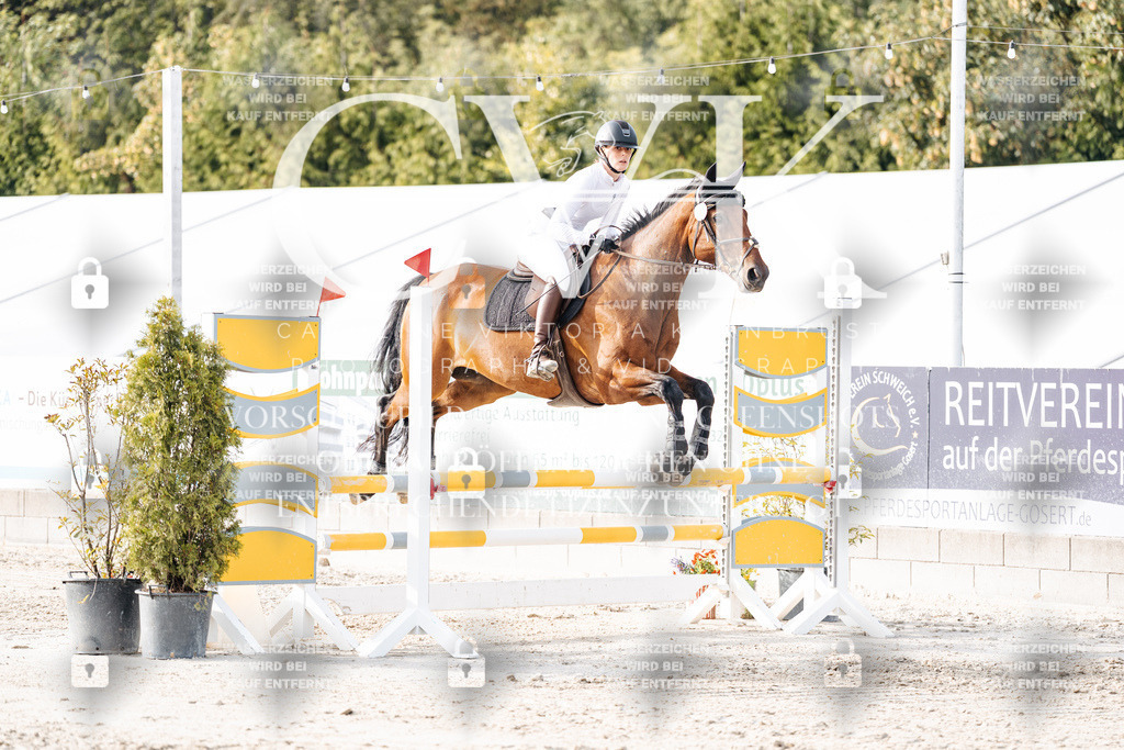 CK906640 | Turnierfotografie Pferdefotografie Trier Rheinland-Pfalz Pferdesport Reitsport Tierfotografie Sportfotografie Pferdevideo Pferdevideografie Equestrianvideography equestrianphotography  - Realisiert mit Pictrs.com