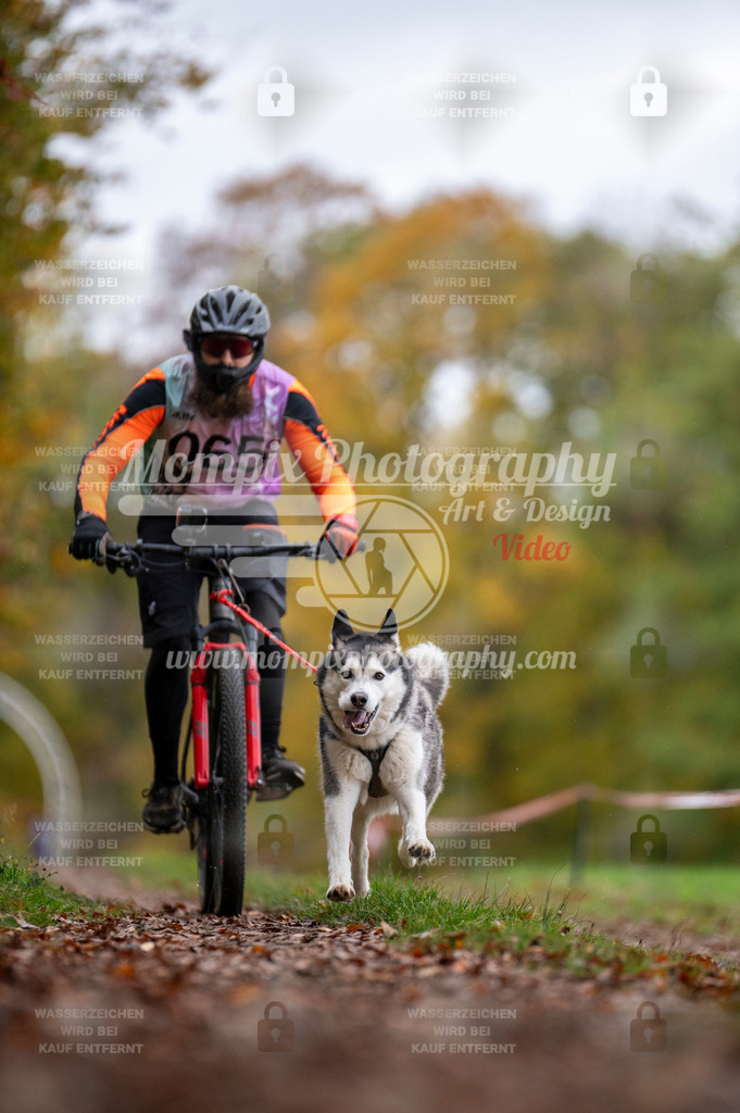 DBT_DAKM_SA_4_11_2023_Bike-92 | PayLife