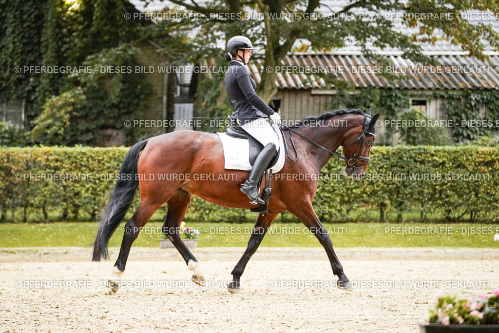 DSC07512 | Pferdegrafie