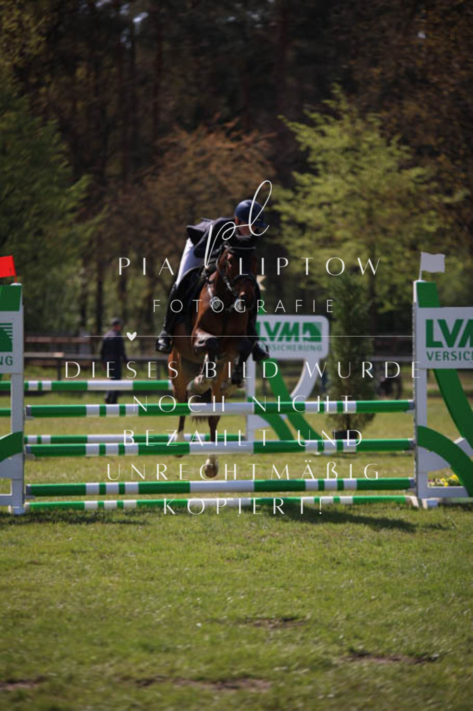 IMGT5681 | pl-fotografie