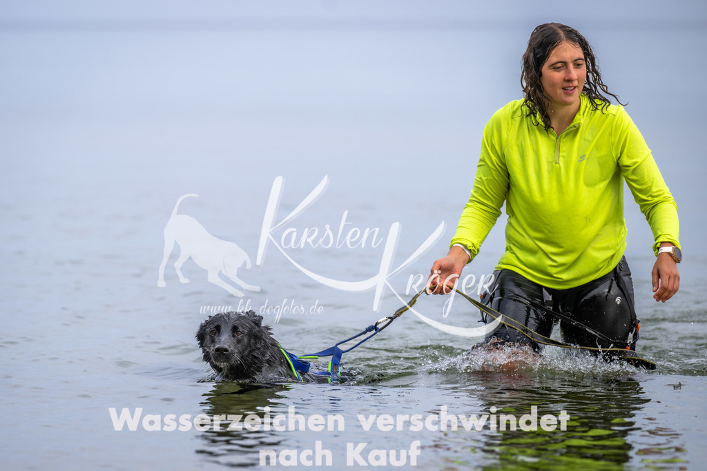 1219_ZZ90922 | kk-dogfotos