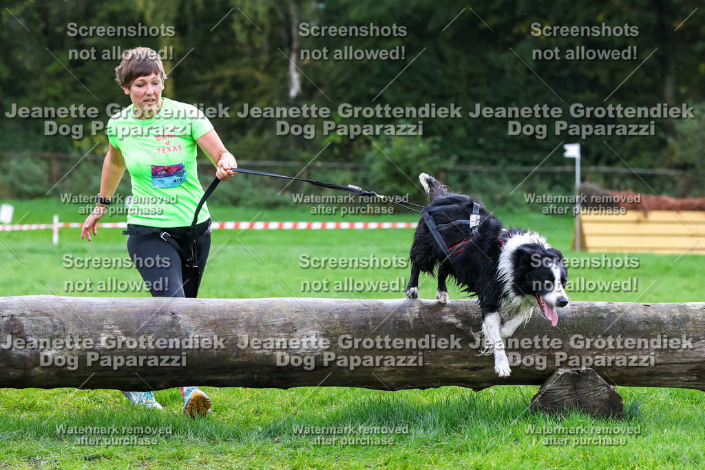 Dog Paparazzi -  SD1026-1964 | Dog Paparazzi Jeanette Grottendiek Fotografie & Videografie - Realisiert mit Pictrs.com