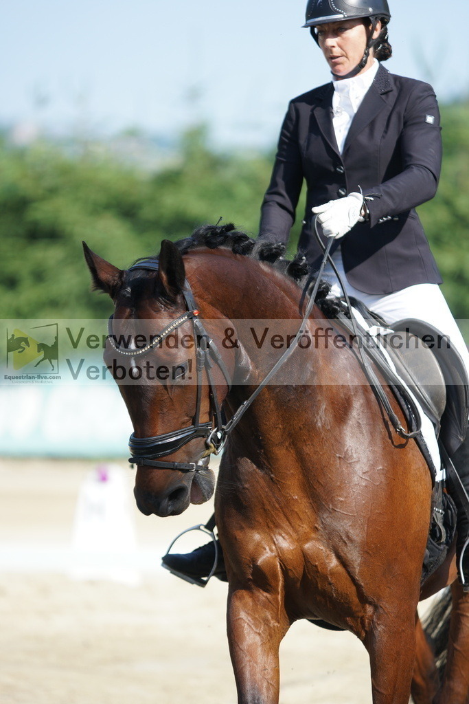 DSC01320 | equestrian-live-com