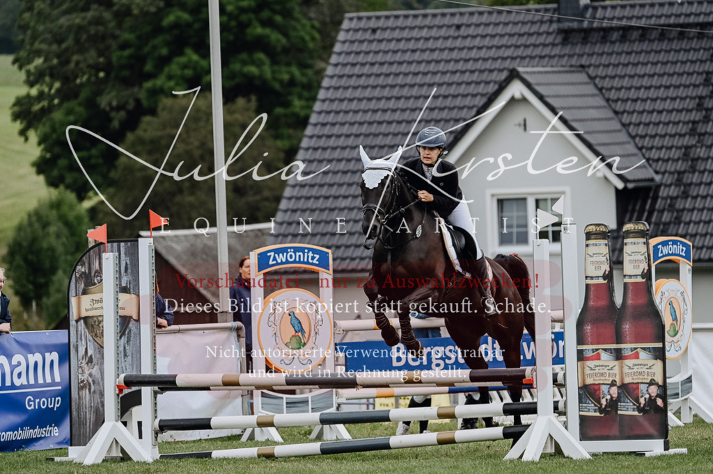 DSC_6800 | Pferde- und Turnierfotografie in Westsachsen. Pferdeportraits, Auftragszeichnungen und intuitive Kunst.